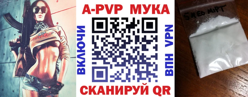 APVP СК  Кирсанов 