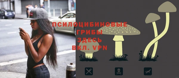 скорость Абаза