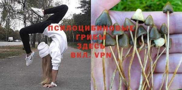 дмт Алексеевка
